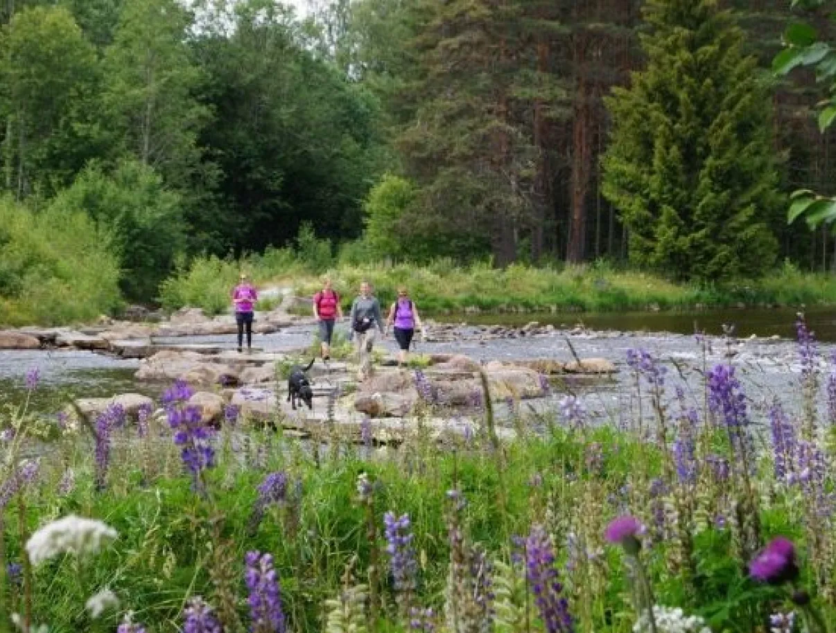 Bufjordstien